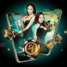 vipp55